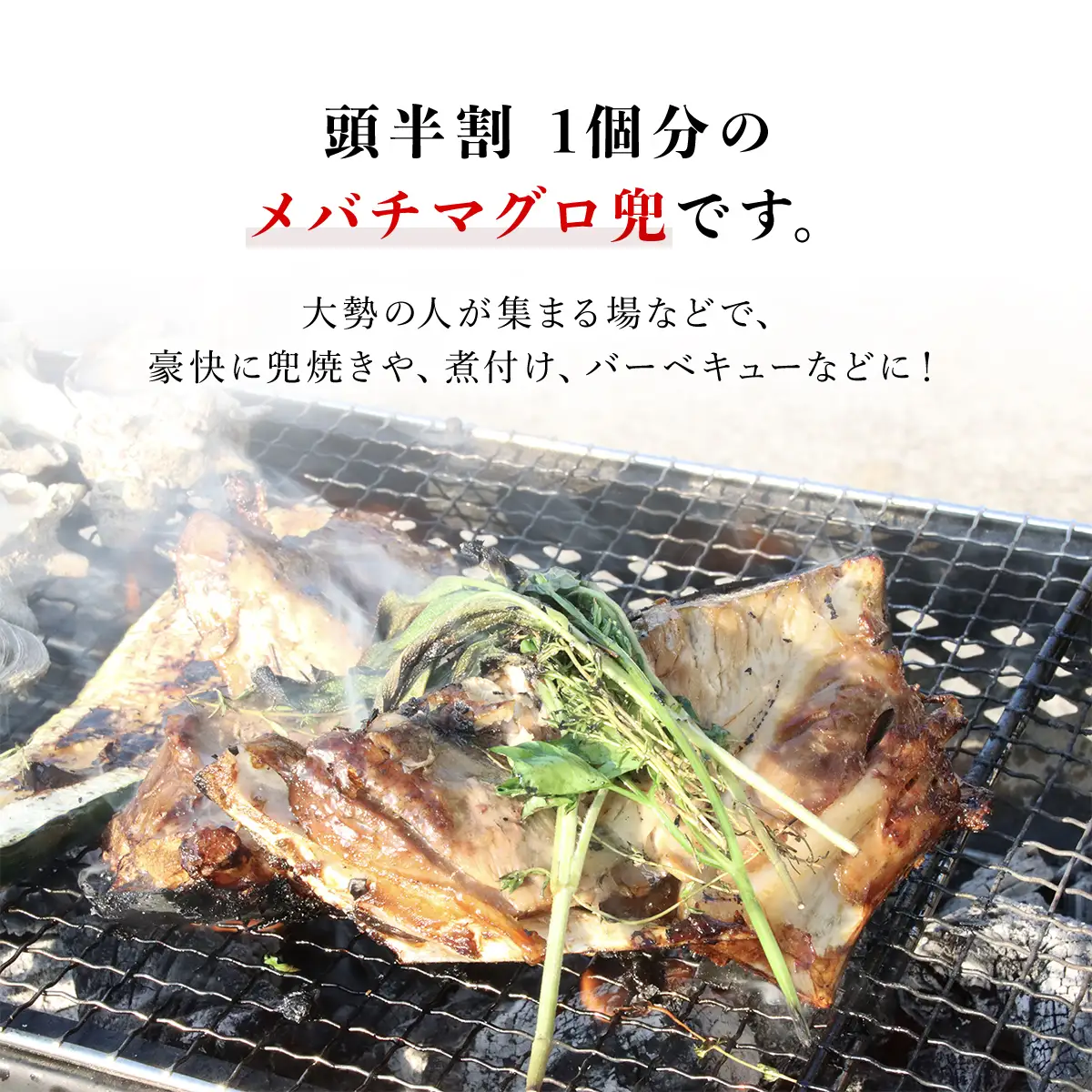 メバチマグロ 兜　頭半割 1個分 MBT006