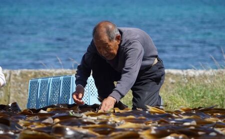 北海道 礼文島産 熟成ねかせ昆布粉 10g×3袋［れぶんちゅら工房］【 天然だし 出汁 万能調味料 調理 昆布 昆布粉 粉 粉末 海鮮 減塩 】