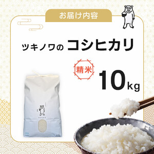 【令和7年産】ツキノワのコシヒカリ 精米 10kg ｜お米 白米 ご飯 コメ 栃木県 大田原市 