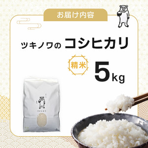 【令和7年産】ツキノワのコシヒカリ 精米 5kg ｜お米 白米 ご飯 コメ 栃木県 大田原市