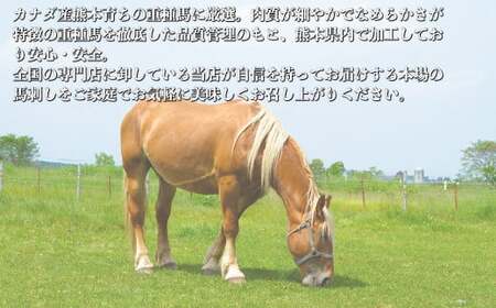 熊本 馬刺し 赤身 約200g （約100g×2個） 醤油・生姜付き 馬肉 お肉 肉 肉刺し 赤身肉 生肉 生食 国内肥育 食品 ヘルシー おつまみ 熊本県 熊本市 冷凍