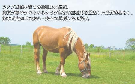 熊本 馬刺し 赤身 約300g （約100g×3個） 醤油・生姜付き 馬肉 お肉 肉 肉刺し 赤身肉 生肉 生食 国内肥育 食品 ヘルシー おつまみ 熊本県 熊本市 冷凍