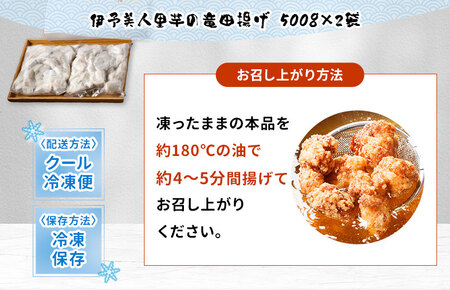 （愛媛県産）伊予美人里芋の竜田揚げ 500g×2袋【V002700】