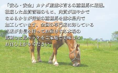 熊本 馬刺し 約500g セット （赤身 約300g ユッケ 約200g） 醤油・生姜付き 馬肉 お肉 肉 肉刺し 赤身肉 生肉 生食 国内肥育 食品 ヘルシー 熊本県 熊本市 冷凍
