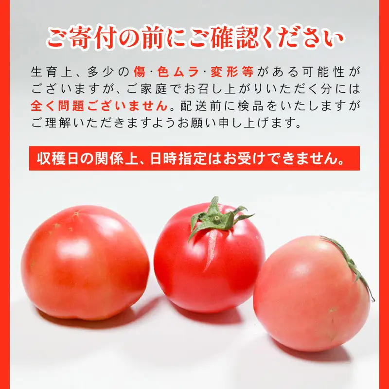 e～トマト 中玉 約2kg 高糖度 濃厚 有機肥料 エコ農産物 上田ファーム