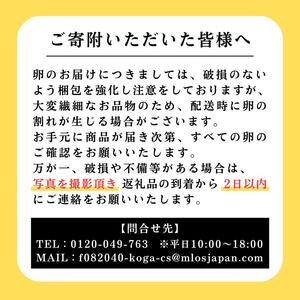 【定期便6か月】 江原ファーム　地養卵＆アローカナハーフセット（計20個）| 卵 たまご タマゴ _AG26