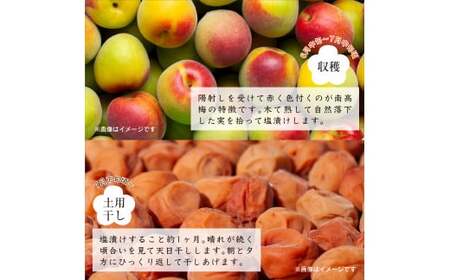 紀州南高梅つぶれ梅 はちみつ漬 400g×3パック (塩分8%) / ウメ 梅 うめ 梅干し 南高梅 紀州南高梅 和歌山 はちみつ梅 つぶれ梅 【azky006B】
