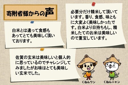 【令和7年産】さがびより 玄米 5kg【3ヶ月定期便】農園(H061B30)