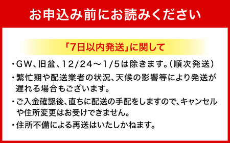 オリオンビール オリオン ザ・ドラフト 350ml (24缶×2ケース)  BCDA001