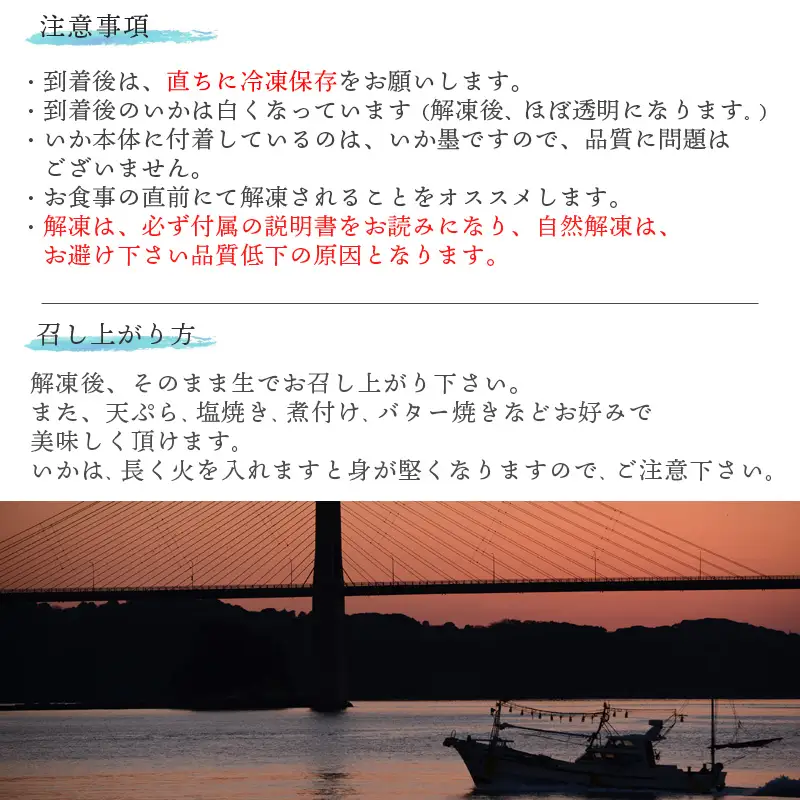 鮮度抜群 呼子 いかのさしみ 80g×3袋 イカ 烏賊 刺身 簡単 夕食 解凍するだけ