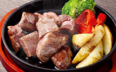 奈義和牛 2つのヒレステーキ 約450g シャトーブリアン ヒレ ステーキ サイコロステーキ ヒレ肉 牛肉 牛 和牛 なぎビーフ 冷凍 奈義町 岡山県産 国産牛 国産