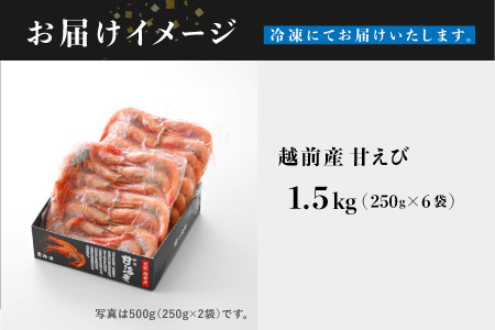 【小分け】越前産冷凍甘えび 約250g × 6パック 合計約1.5kg