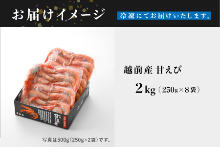 【小分け】越前産冷凍甘えび 約250g × 8パック 合計約2.0kg
