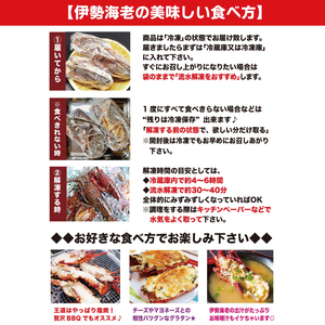 【漁師直送／活〆冷凍】伊勢海老（3kg／6～15尾）（KBL-20)
