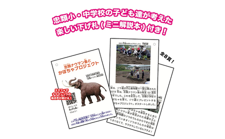 [北海道幕別町]学芸員監修＆子どもたちと作った！忠類ナウマンゾウぬいぐるみ1体 トレカ付き（小中学生制作のオリジナル学びの下げ札付き）【 ぬいぐるみ おもちゃ ふわふわ もこもこ ゆるキャラ トレカ 北海道 幕別 】