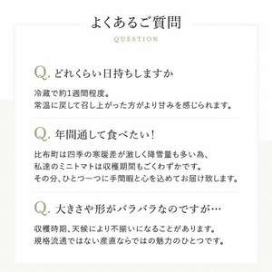 2026年発送 先行予約 金賞受賞 北海道フルーツミニトマト【ジェルバ】1.2kg【Farm of Soul】2023野菜ソムリエサミット金賞 先行受付 トマト とまと ミニトマト 野菜 高糖度 甘い 北海道 比布町 ぴっぷ 1010-001