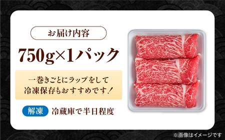 佐賀産和牛 牛肉切り落とし 750g / 牛肉切り落とし [IAG208]