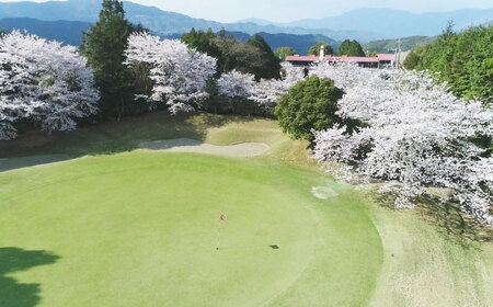 利用券 大洲ゴルフ倶楽部 ゴルフプレー利用補助券 1000円券×3枚 利用券[AGDI001]