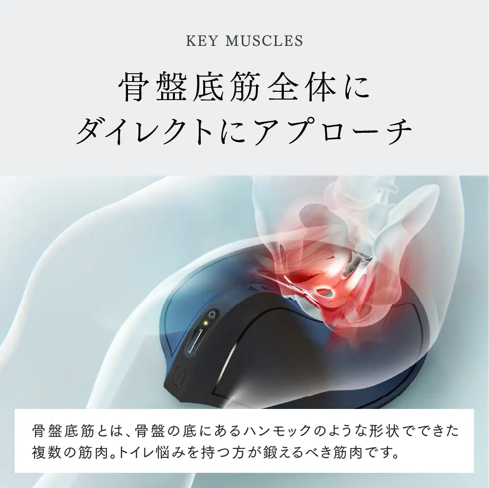 EMS 骨盤底筋 トレーニング MYTREX AQUA QUTTO お風呂 フェムケア ヒップアップ お尻 マシン 美尻 筋トレ 防水 産後 エクササイズ 日用品 健康家電 美容家電 家電 マッサージ マッサージ機 マイトレックス アクアキュット
