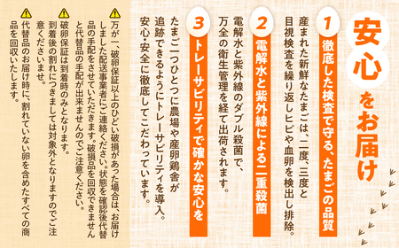 農場たまご めぐみ 30個 割れ保証付き 卵 たまご