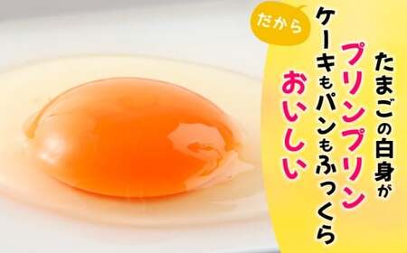 ぷりんセス・エッグ 30個『北川鶏園 房総のあおぞら農場』｜鶏卵 [0250]