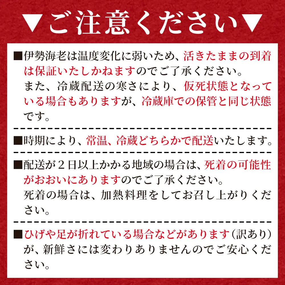 【 伊勢海老 】 伊勢海老 1〜5尾 計1kg eb-0056