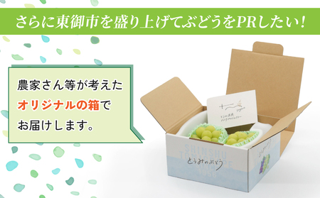 【先行受付2026年発送】東御市産シャインマスカット2房【秋お届け】大粒 高評価 信州