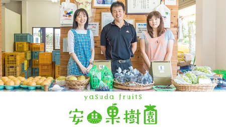 豊水 約5kg（茨城県共通返礼品：かすみがうら市） [FF004sa]