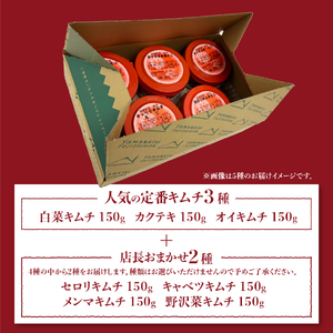 キムチバラエティーセット (お試しセット 5種類) 食べ比べ 白菜 カクテキ オイキムチ セロリ キャベツ メンマ 野沢菜 小分け 人気 