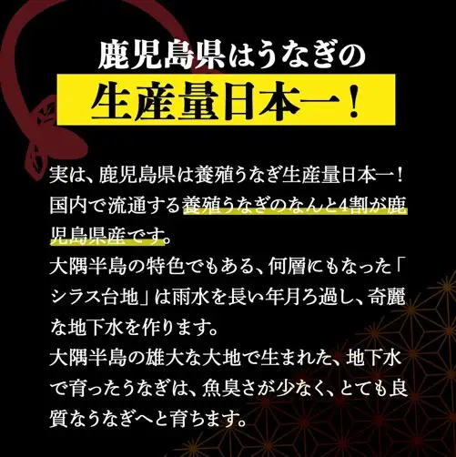 【土用丑の日】鹿児島県大隅産　千歳鰻の白焼1尾・蒲焼き1尾　合計2尾セット（1尾110g～130g）