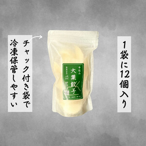 餃子 手包み大葉餃子 Sパック 12個入り 餃子屋はまだ