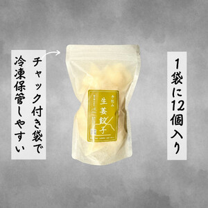 餃子 手包み生姜餃子 Sパック 12個入り 餃子屋はまだ