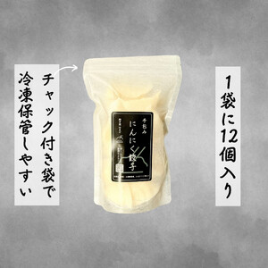 餃子 手包みにんにく餃子 Sパック 12個入り 餃子屋はまだ