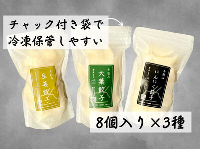 餃子 手包み餃子 3種詰め合わせBOX 合計24個 餃子屋はまだ