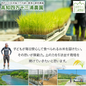 【予約受付】 四万十清流育ち！三浦さんの玄米 30kg（15kg×2） 菌の力で美味しさUP 特別栽培米 ／Fms-A19 玄米 にこまる 特別栽培米 米 お米