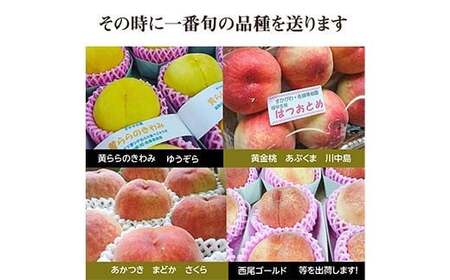 桃 品種おまかせ 3kg 9～12個 もも 贈答 プレゼント ＜佐藤果樹園＞ モモ 桃 デザート フルーツ 果物 F7X-0281
