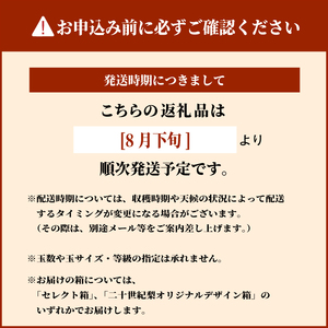 DS-02　二十世紀梨 5kg