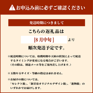 【先行予約】DS-03　新甘泉梨（５ｋｇ）