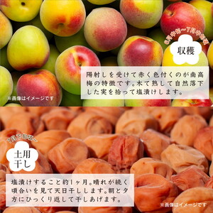 紀州南高梅つぶれ梅（はちみつ漬）塩分8％ 400g×3