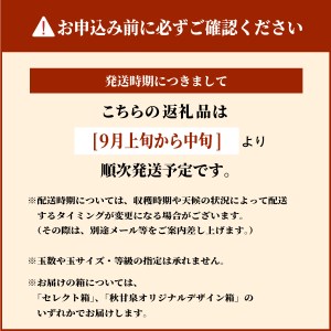 DS-04　秋甘泉梨（５ｋｇ）