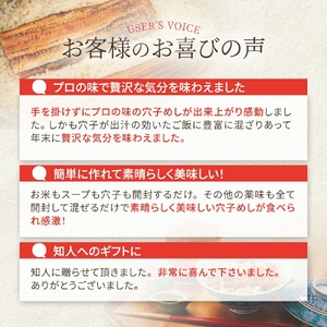 ごちそう穴子めし【2合セット】+出汁茶漬け付 | AN010