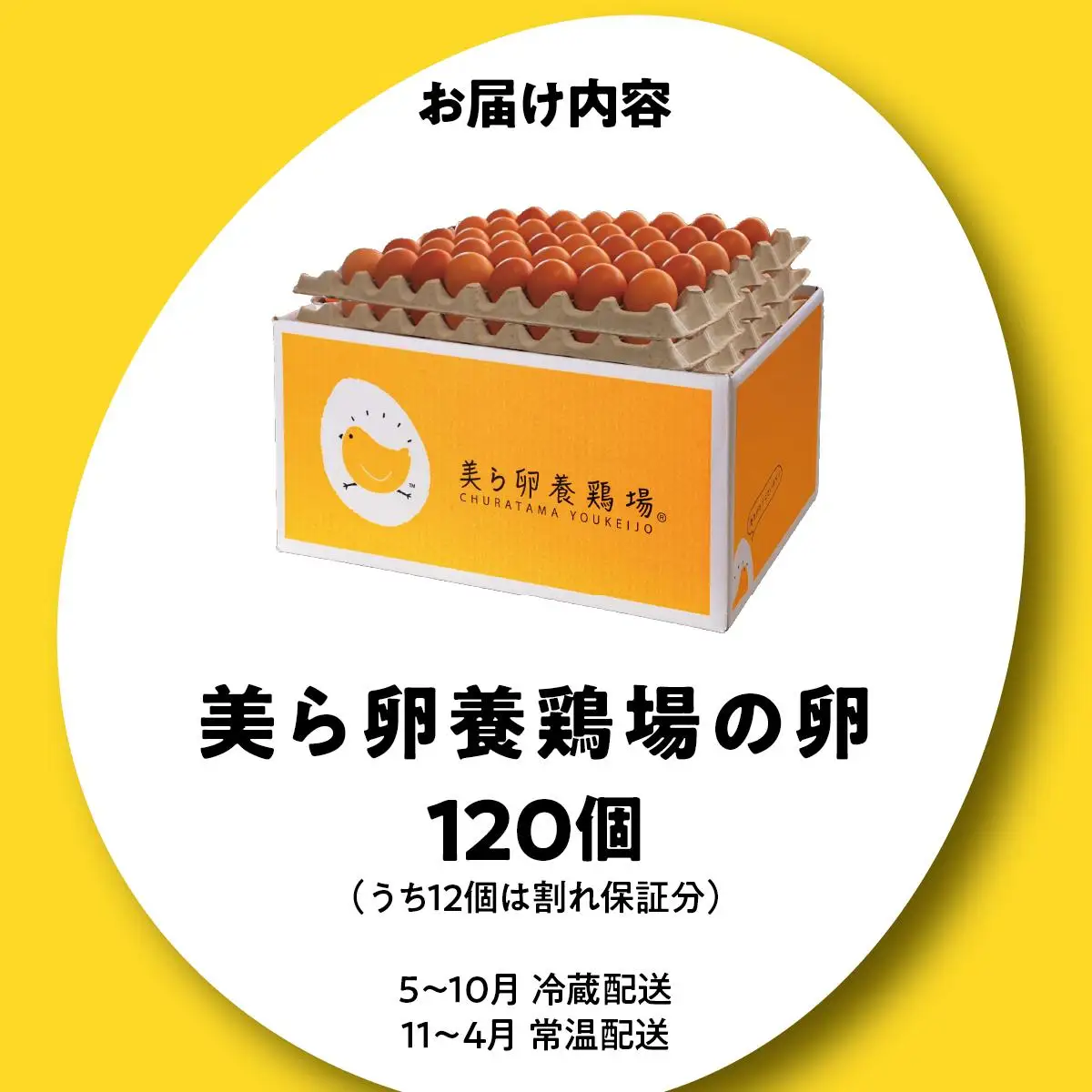 美ら卵養鶏場の卵 120個【順次配送】   