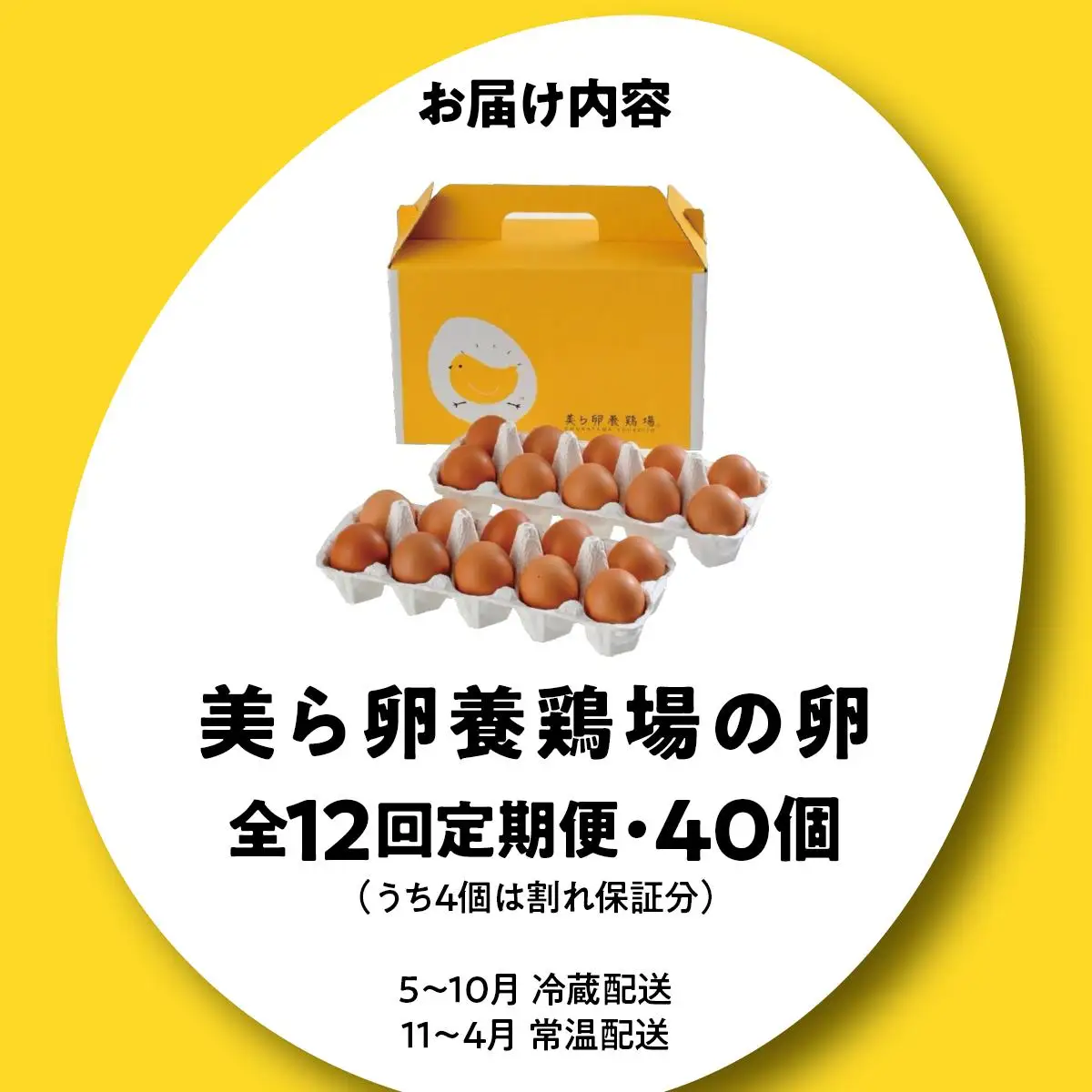 美ら卵養鶏場の卵 40個【12ヶ月定期便】   