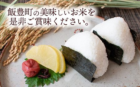 人気のブランド米 はえぬき 白米 10kg 令和7年産 - 山形県 飯豊町産 米 精米 銘柄 ブランド米 田園サービスいいで【価格改定X】
