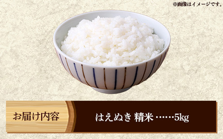 マイスターがつくる はえぬき 白米 5kg 令和7年産 - 山形県 飯豊町産 米 精米 銘柄 ブランド米 林七【価格改定】