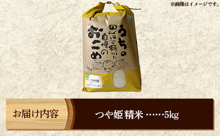 マイスターがつくる つや姫 白米 5kg 令和7年産 - 山形県 飯豊町産 米 精米 銘柄 ブランド米 林七【価格改定】