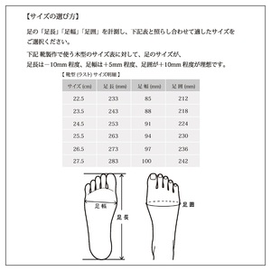 【リッチブラウン】Classic Sneakers DECO スニーカーソールタイプ《 日本製 DECO 革靴 皮 ファッション レザー 靴 》【2425N08025_02】