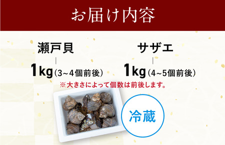 幻の貝「瀬戸貝」と高級サザエ【瀬戸貝3～4個（約1kg）・サザエ4～5個（約1kg）】【V002770】