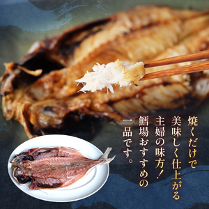 【連続6回定期便】【訳あり】あじの干物（約30cm）6枚  富山県 氷見市 アジ 魚 干物 開き