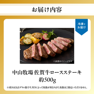 【最速配送】佐賀牛ロースステーキ 500g ／ 数量限定 ステーキ 焼肉 霜降り【C092】